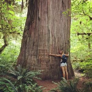 Meet your Posher, Alison